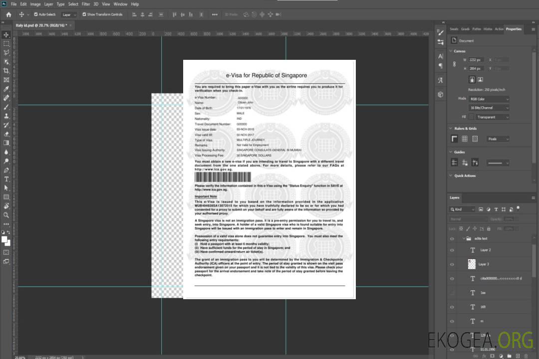 Visa électronique pour SINGAPOUR template Visa électronique pour SINGAPOUR template